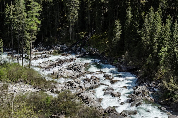 Wild stream in nature