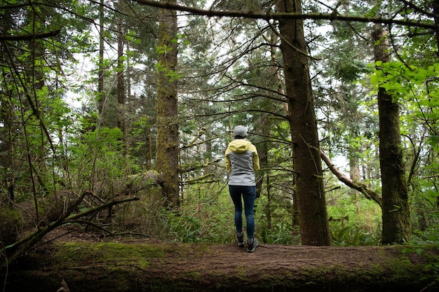 Wilderness where you can really get away. Woman enjoy wild forest of Oregon, USA. Wilderness trip. Woodland landscape. Wood land.