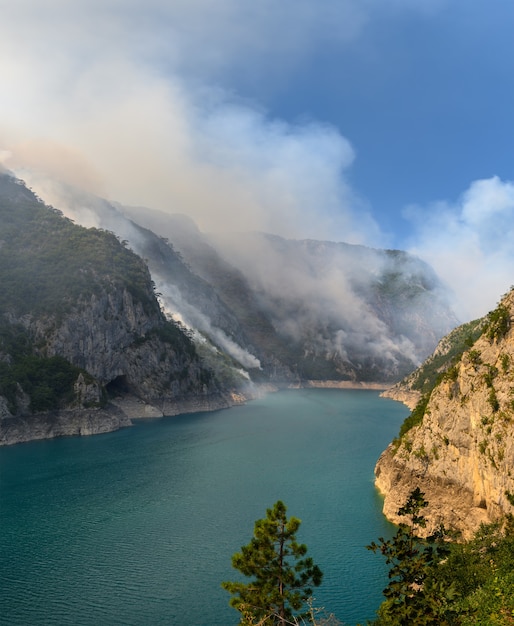 Wildfire at piva lake in national park of montenegro