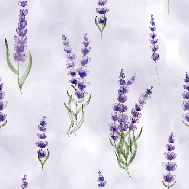 wildflower lavender flowers on tenderness delicate background seamless botanical pattern