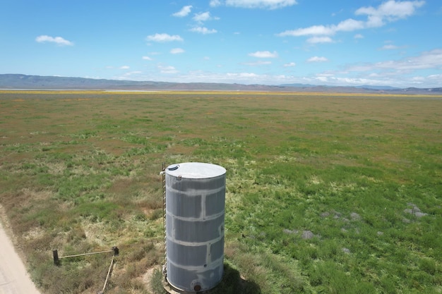 Wildflowers around water tank at Carrizo Plain National Monument and Soda lake