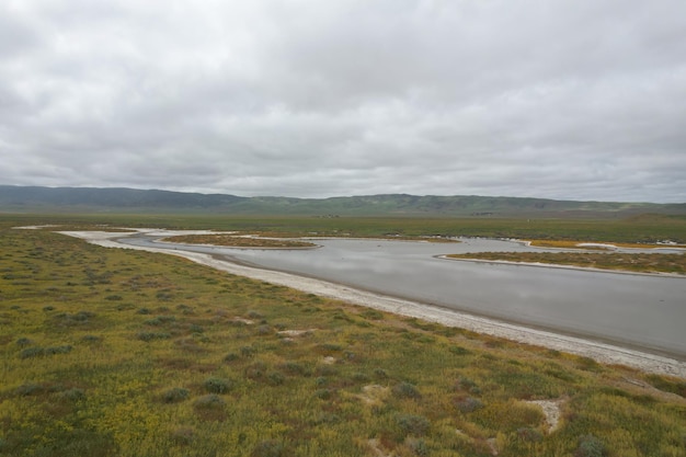 Wildflowers at Carrizo Plain National Monument and Soda lake