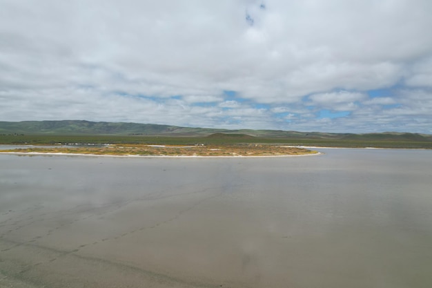 Wildflowers at Carrizo Plain National Monument and Soda lake