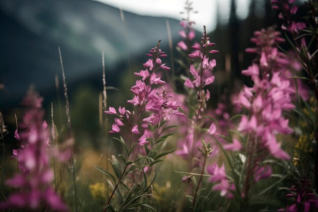 Wildflowers Fireweed Background Flowers Plant Generative AI