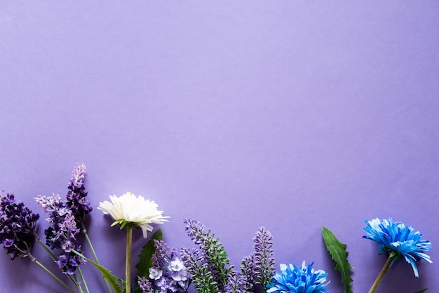 Wildflowers on a purple background with plenty of space to write a message