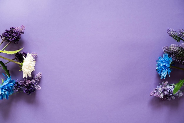 Wildflowers on a purple background with plenty of space to write a message