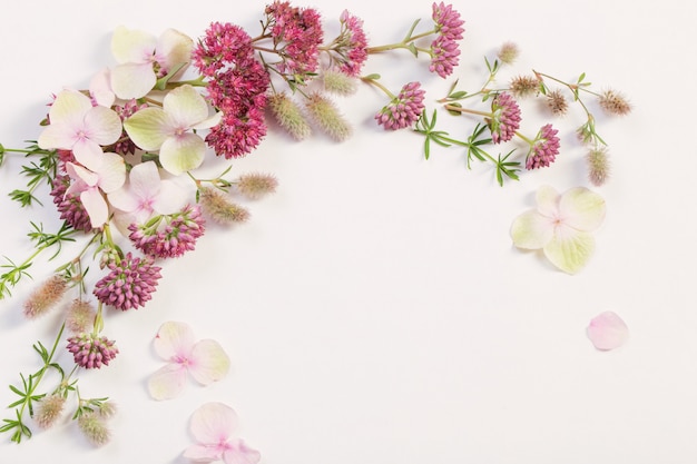 Wildflowers on white paper background