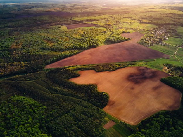 Wildlife from above. Sunset