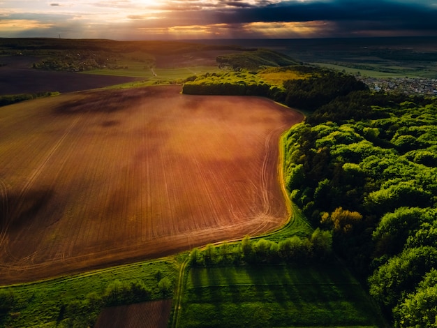 Wildlife from above. Sunset