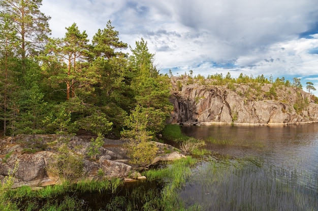 Wildlife of Ladoga lake