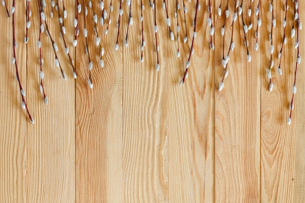 Willow branches on the background of a wooden surface with copy space shot from above.