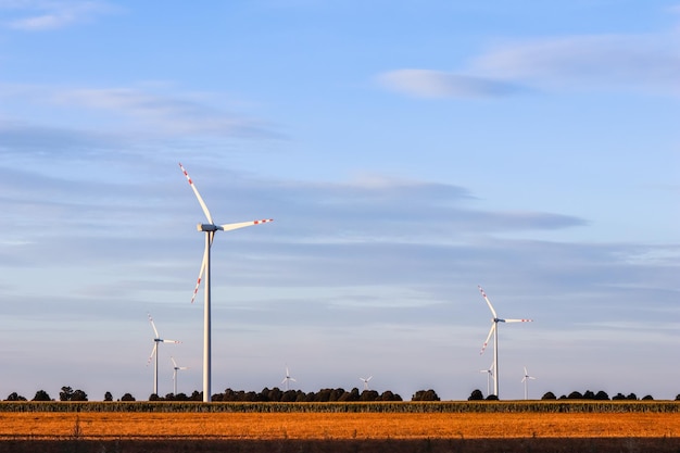 Wind farm in the field wind turbines spin to generate electricity alternative energy and green technology at sunset