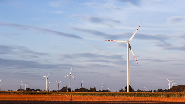 Wind farm in the field wind turbines spin to generate electricity alternative energy and green technology at sunset