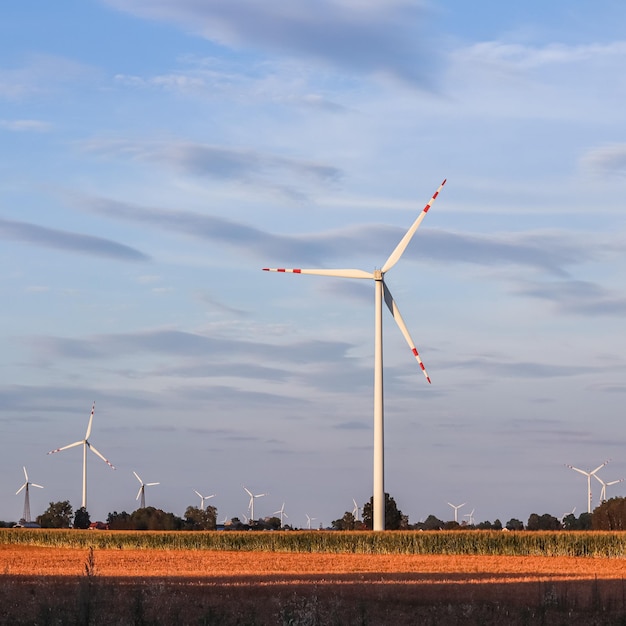 Wind farm in the field wind turbines spin to generate electricity alternative energy and green technology at sunset