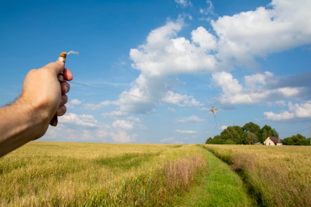 Wind kite flying in the blue summer sky