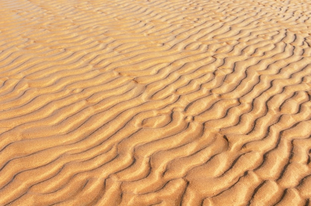 Wind patterns on the beach Natural background of sand in ripple wave pattern