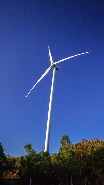 A wind turbine is a wind turbine that takes the kinetic energy from the movement of the wind and converts it into mechanical energy. Then use mechanical energy to produce electrical energy.