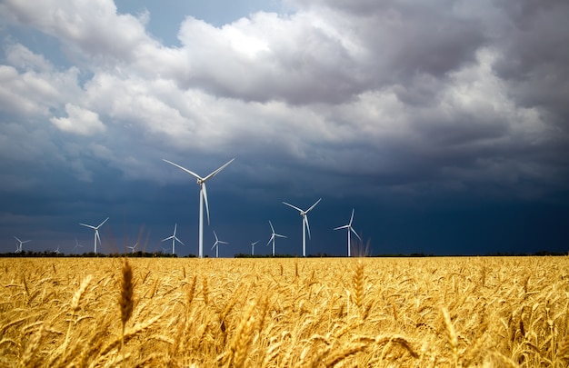 Wind turbines and agricultural field on a summer cloudy day. Energy production, clean and renewable energy.