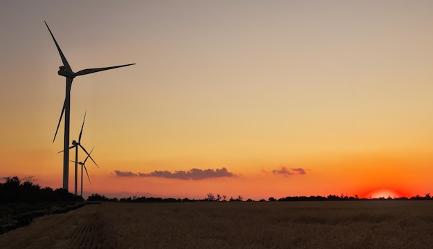 Wind turbines and agricultural field on a summer day Energy production clean and renewable energy