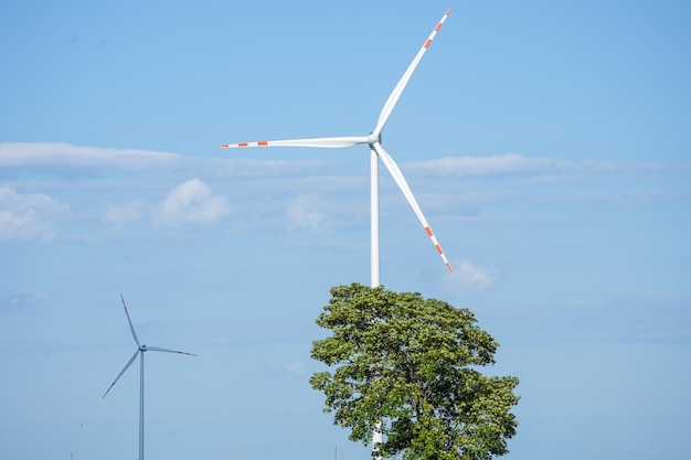 Wind turbines on the field Renewable energy sources Electricity generator turbines