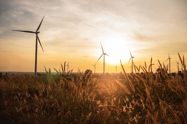 Wind turbines and solar morning.