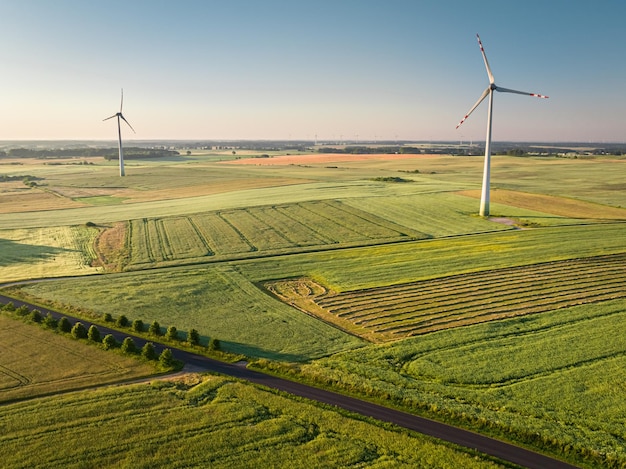 Wind turbines at sunrise on green field aerial view