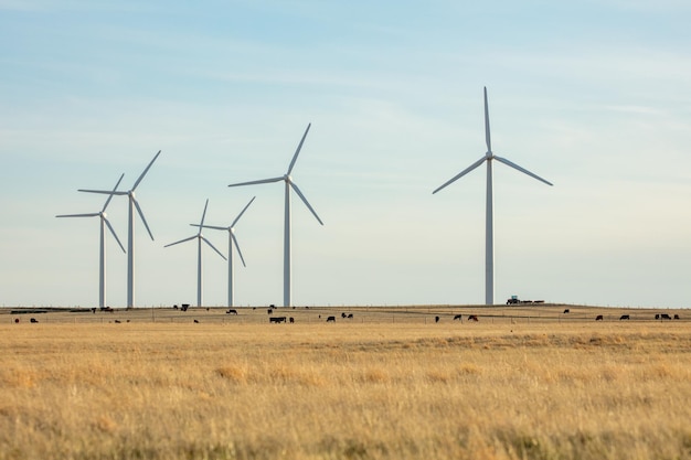 Windfarm in Northern Colorado