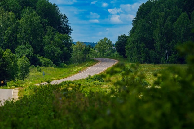 Photo winding country road through lush green forest