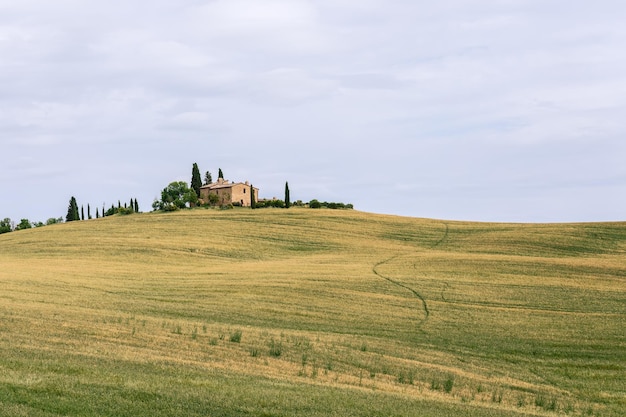 A winding narrow path through the grassy hills of Tuscany leads to a traditional old farmhouse