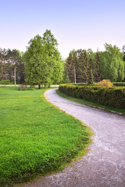 A winding path in a landscaped garden Trees with fresh leaves spring grass on the lawn