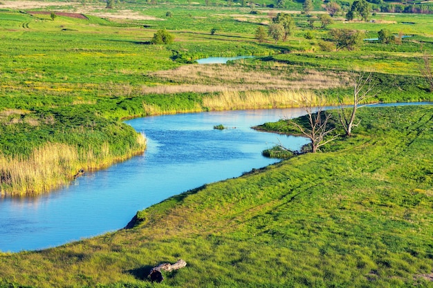 A winding river flows through a green meadow