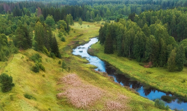 Winding river in a summer forest full of fireweed or Ivanchaya view from top