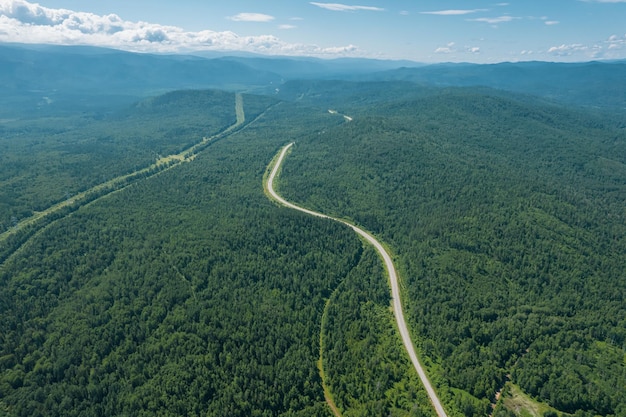 Winding road in the West Siberian taiga ecoregion