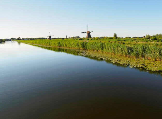 A windmill on the bank of a canal with reeds in Kinderdijk Holland Netherlands