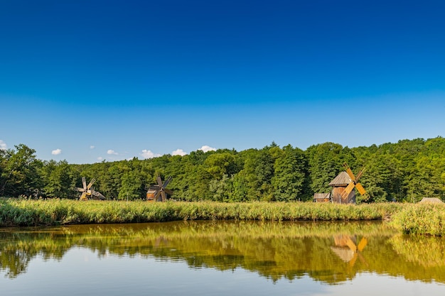 Windmill farm scene