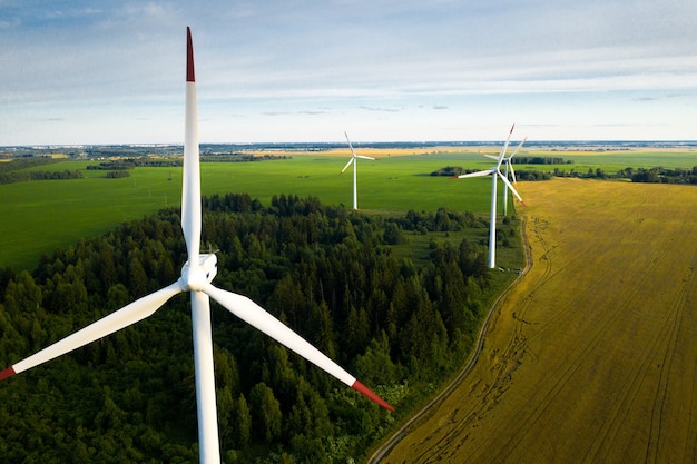 Windmills on the of forests and fields