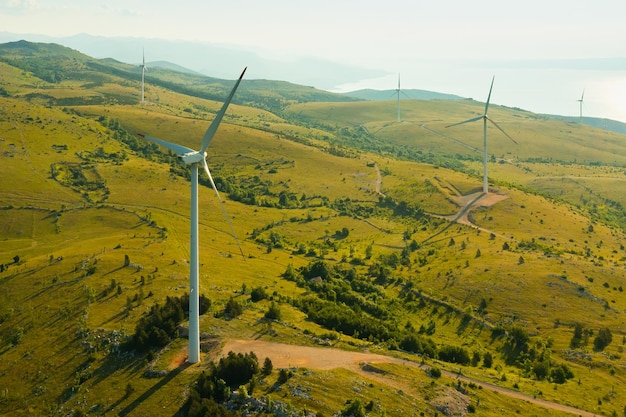 Windmills operate at electric station on highland hill slopes with rare trees producing green energy...