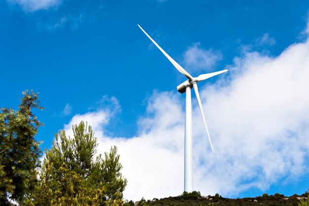 Windmills for the production of electrical energy. Renewable energy wind farm province of Barcelona.