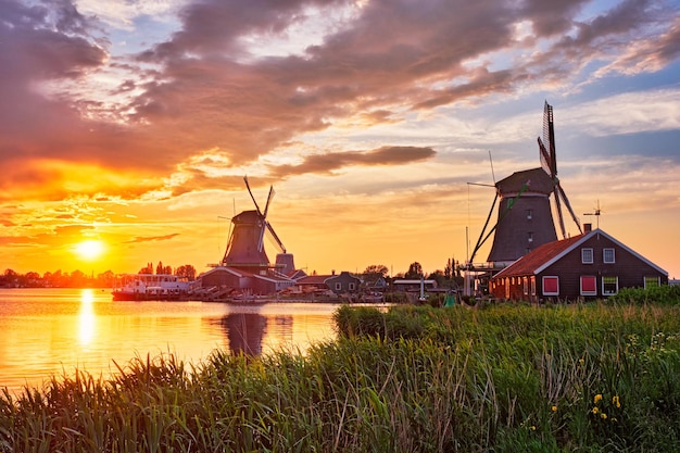 Windmills at zaanse schans in holland on sunset zaandam nether