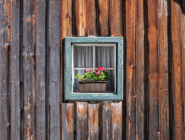 Window in the wall and potted flowers Vintage interior and exterior design of a house Wooden walls made of boards Large resolution photo for design