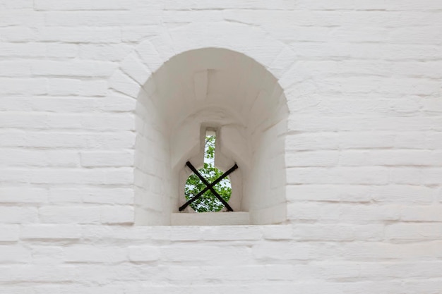 Window with bars in a white brick wall Overview of the blooming garden Background Space for text