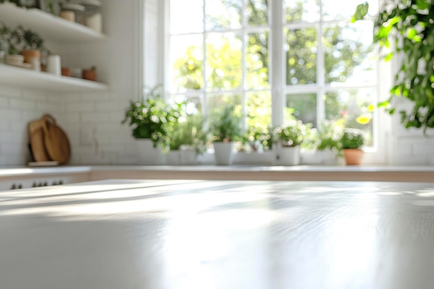 a window with plants on the shelf and a window