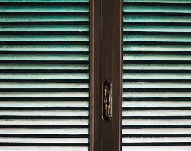 Window with shutters