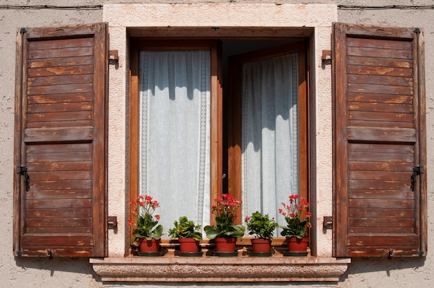 Window with wooden shutters and flower pots