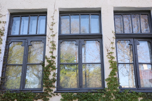 Windows of old house with plants outdoor