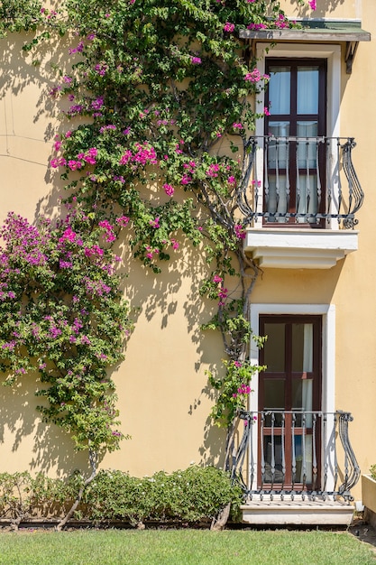 Windows with balcony on building facade with cast iron ornaments and flower tree on the wall in Bodrum, Turkey