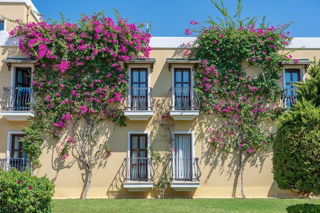 Windows with balcony on building facade with cast iron ornaments and flower tree on the wall in Bodrum, Turkey