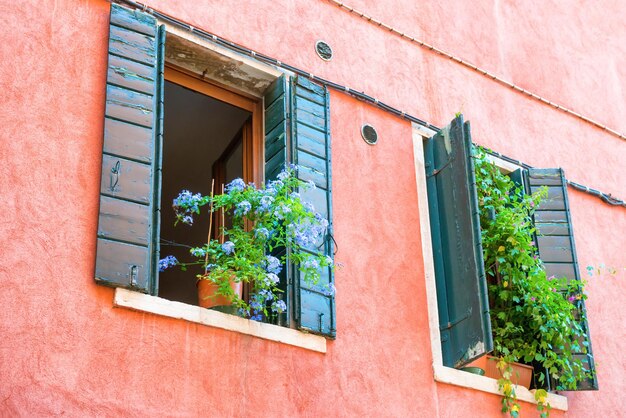 Photo windows with flowers in old house in venice