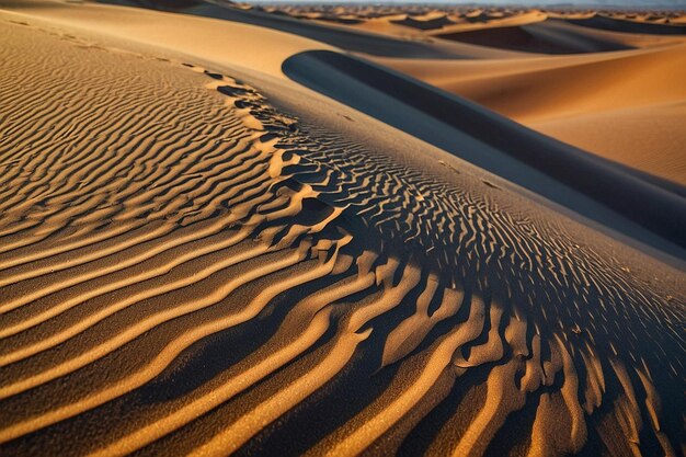 Windsculpted sand dunes in a remote desert