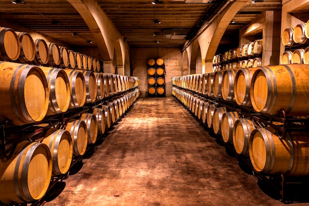 Wine cellar Wine barrels in a winery in Spain